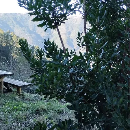 Casa Da Quelha * Chas de Egua