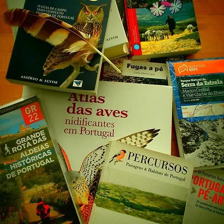 カントリーハウス Casa Da Quelha *