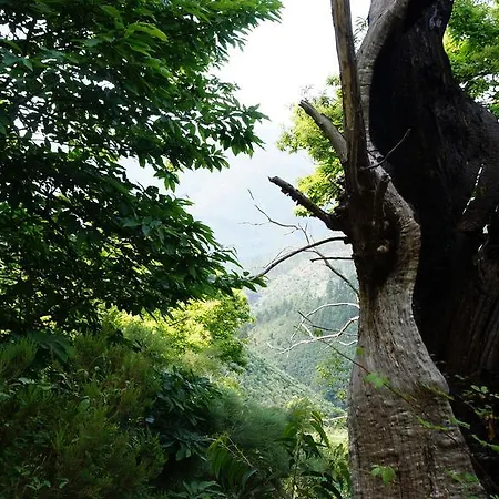 Hétvégi ház Casa Da Quelha Chãs de Égua