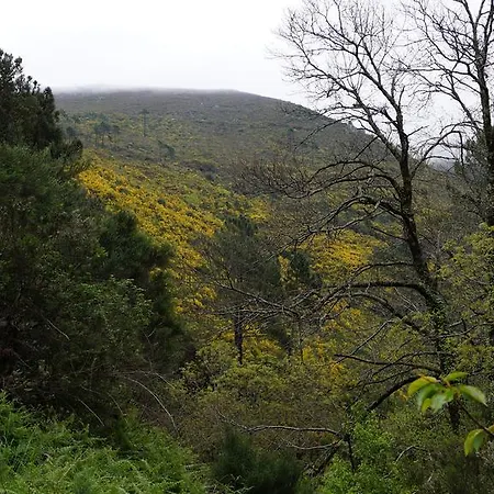 カントリーハウス Casa Da Quelha *