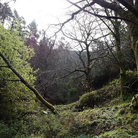 Casa Da Quelha Chas de Egua