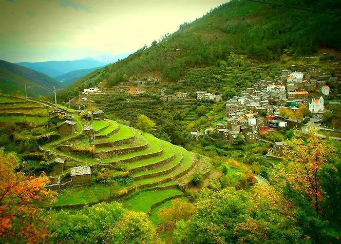 Gospodarstwo wiejskie Casa Da Quelha *