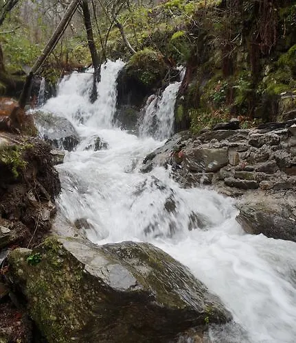 Gospodarstwo wiejskie Casa Da Quelha *