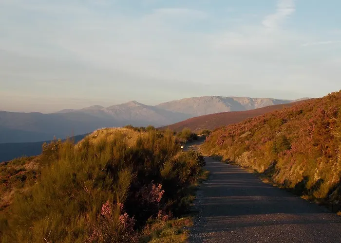 Gospodarstwo wiejskie Casa Da Quelha *