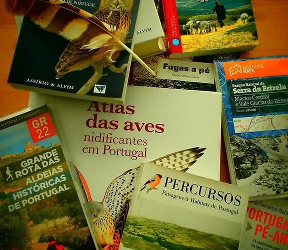 Gospodarstwo wiejskie Casa Da Quelha *