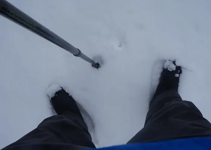 Gospodarstwo wiejskie Casa Da Quelha *