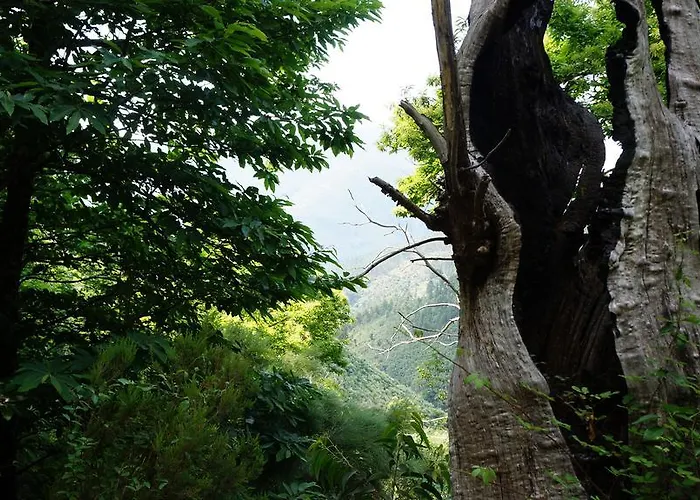 Gospodarstwo wiejskie Casa Da Quelha Chas de Egua