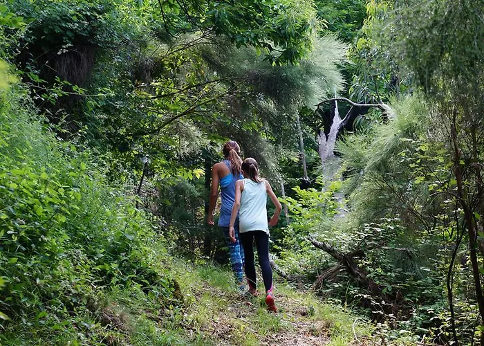 Gospodarstwo wiejskie Casa Da Quelha