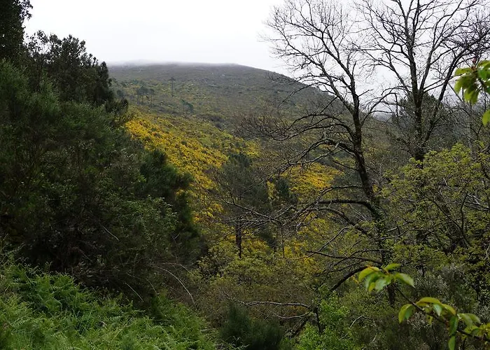 Gospodarstwo wiejskie Casa Da Quelha *