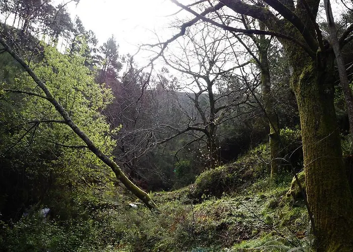 Casa Da Quelha Chas de Egua