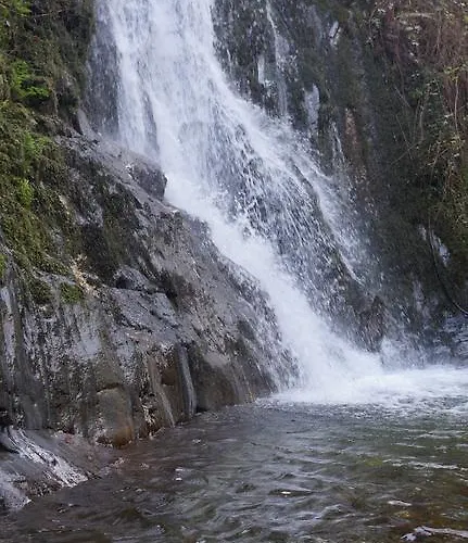 Gospodarstwo wiejskie Casa Da Quelha