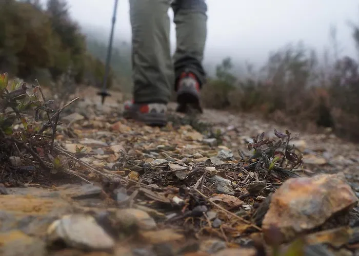 Gospodarstwo wiejskie Casa Da Quelha *